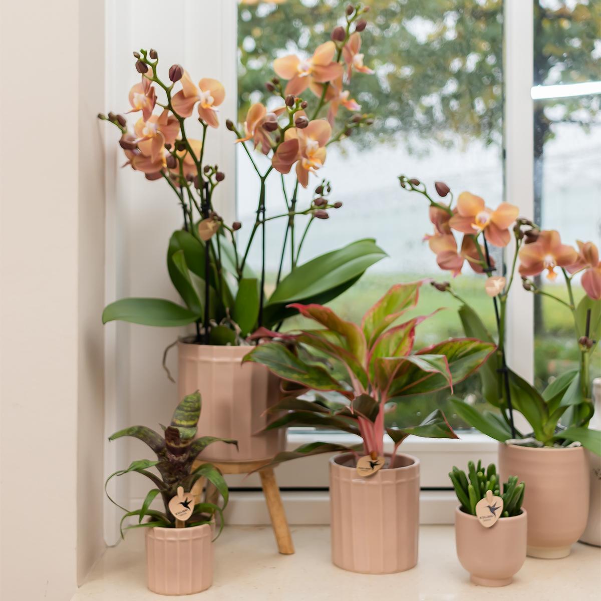 Kolibri Home | Glazed bloempot - Zandkleurige keramieken sierpot met glans - Ø12cm