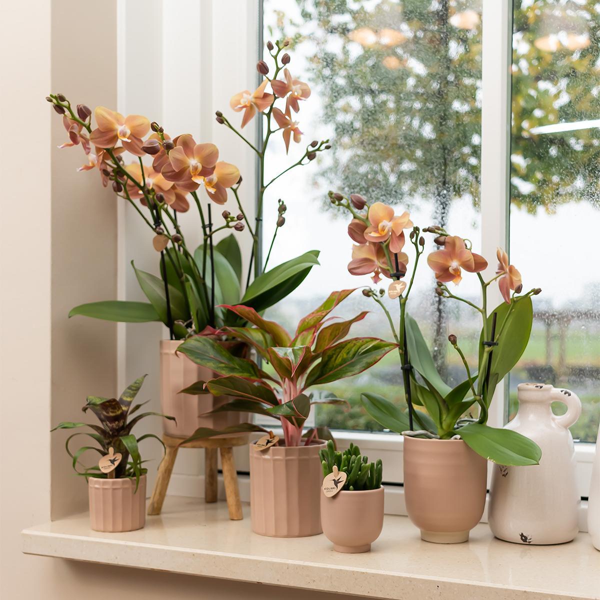 Kolibri Home | Glazed bloempot - Zandkleurige keramieken sierpot met glans - Ø6cm