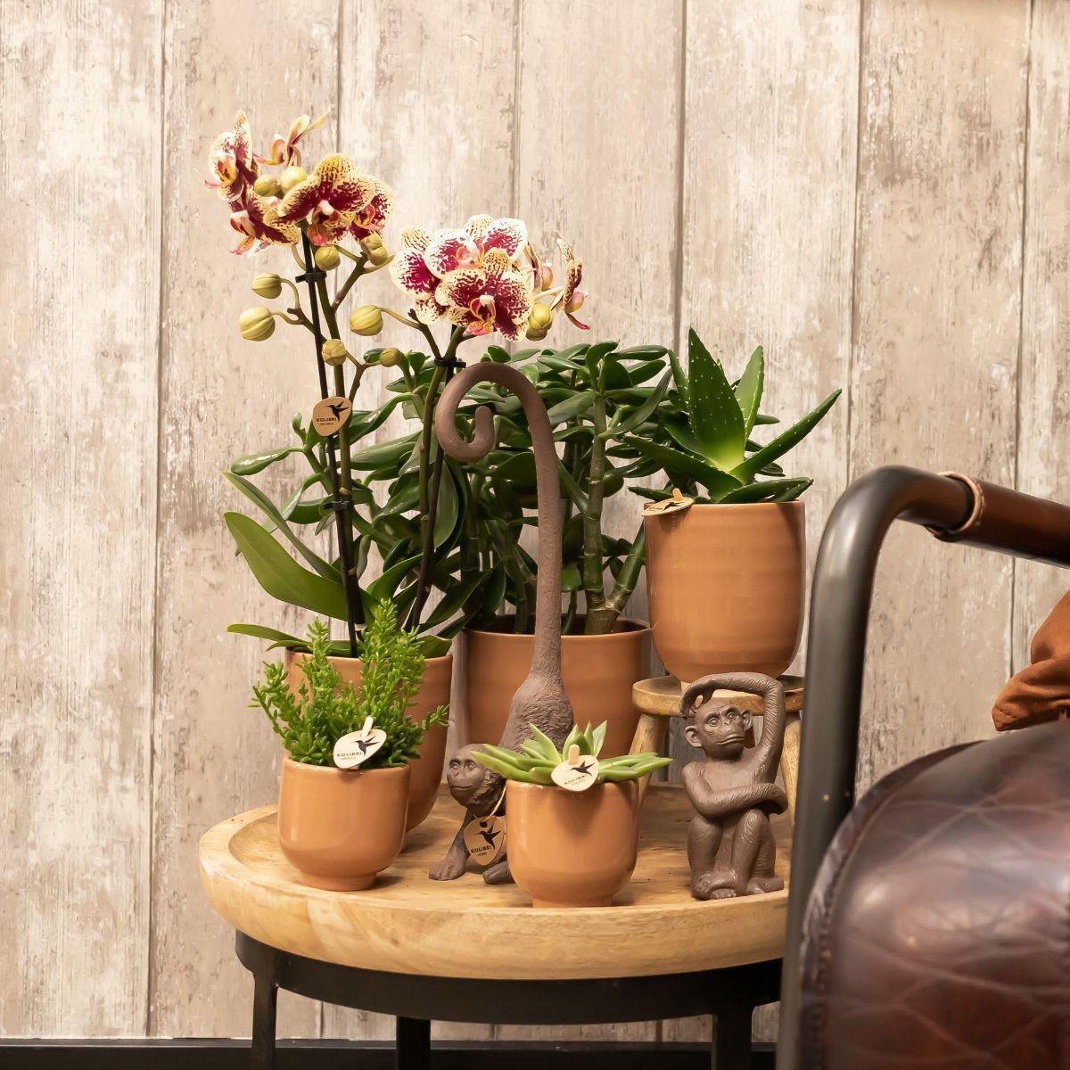 Kolibri Home | Glazed bloempot - Cognac keramieken sierpot met glans - Ø6cm