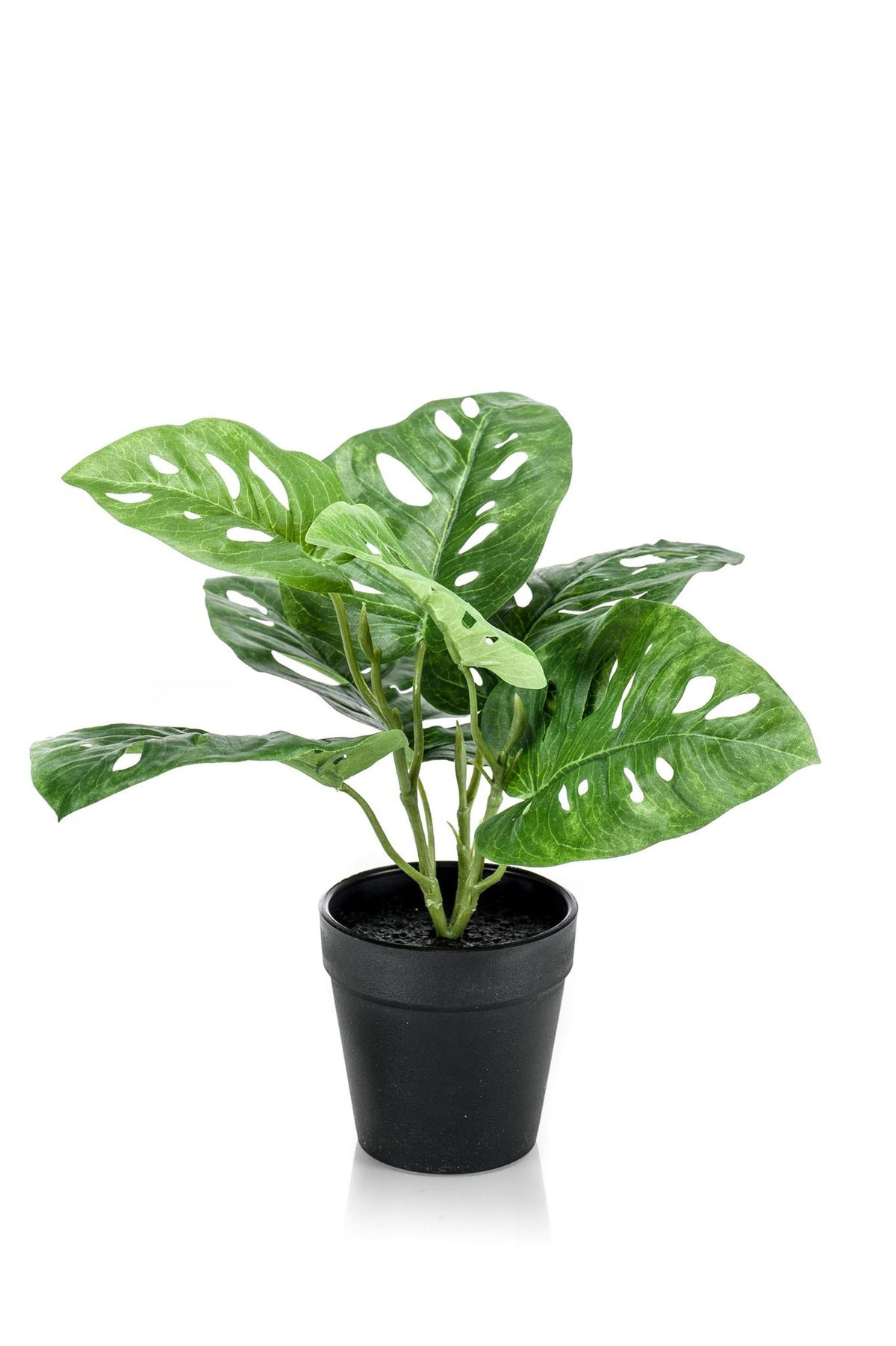 Kunstplanten - Monstera Monkey - Gatenplant - 29 cm