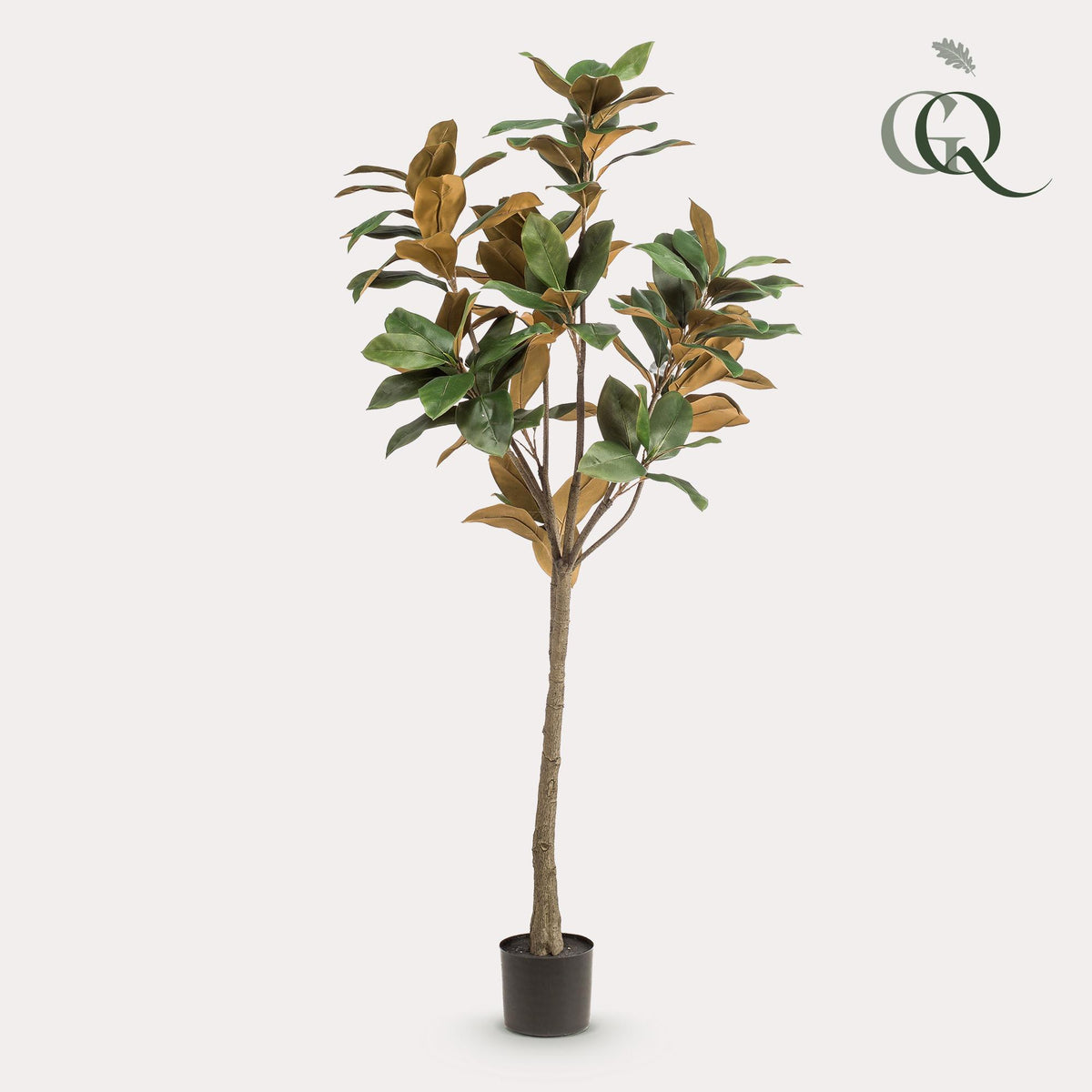 Kunstplant - Magnolia Grandiflora- 150 cm