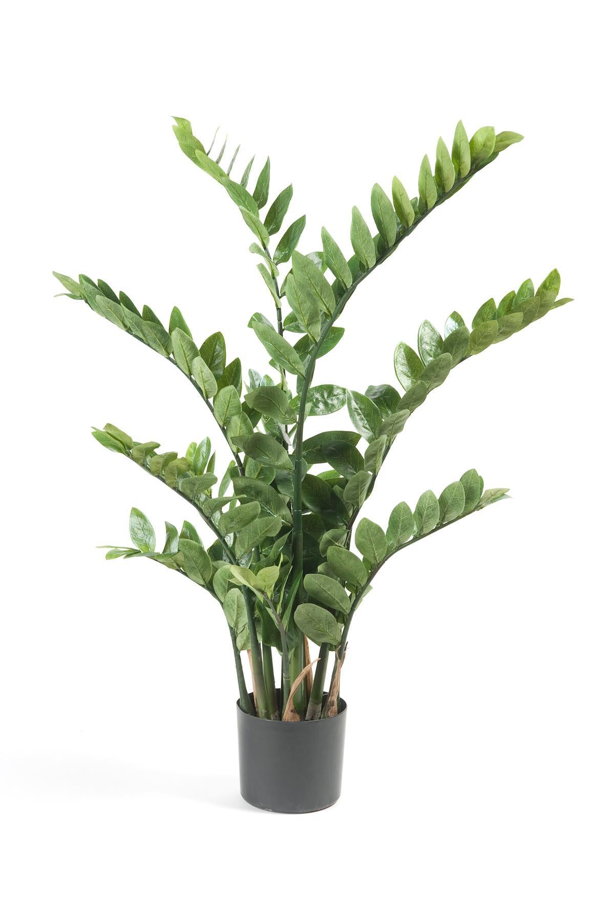 Kunstplant - Zamioculcas - Kamerpalm - 110 cm