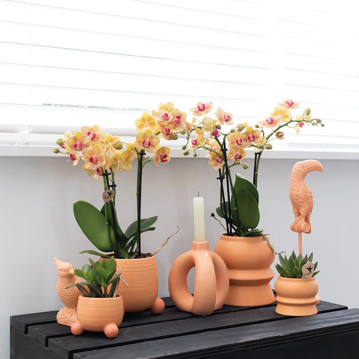 Kolibri Home | Rolling peach bloempot - Peach kleurige keramieken sierpot - Ø6cm