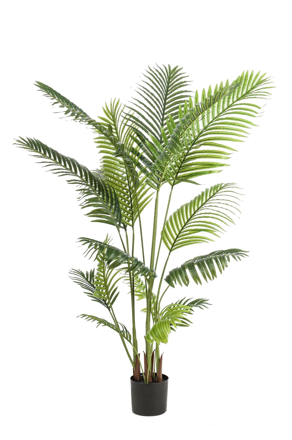 Kunstplant - Howea Forsteriana- 160 cm