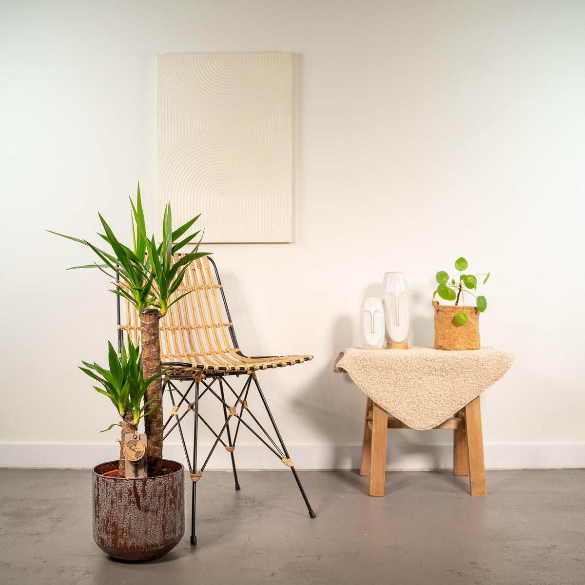 Yucca met pot - ↨100cm - Ø21cm