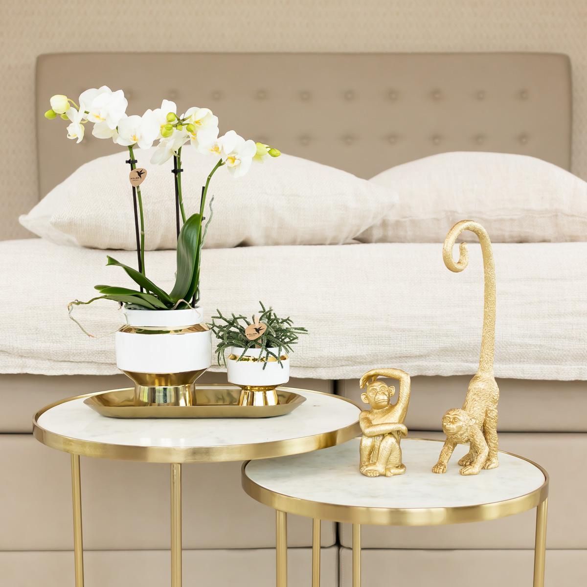 Kolibri Home | Le Chic bloempot - Witte keramieken sierpot met gouden details - Ø9cm