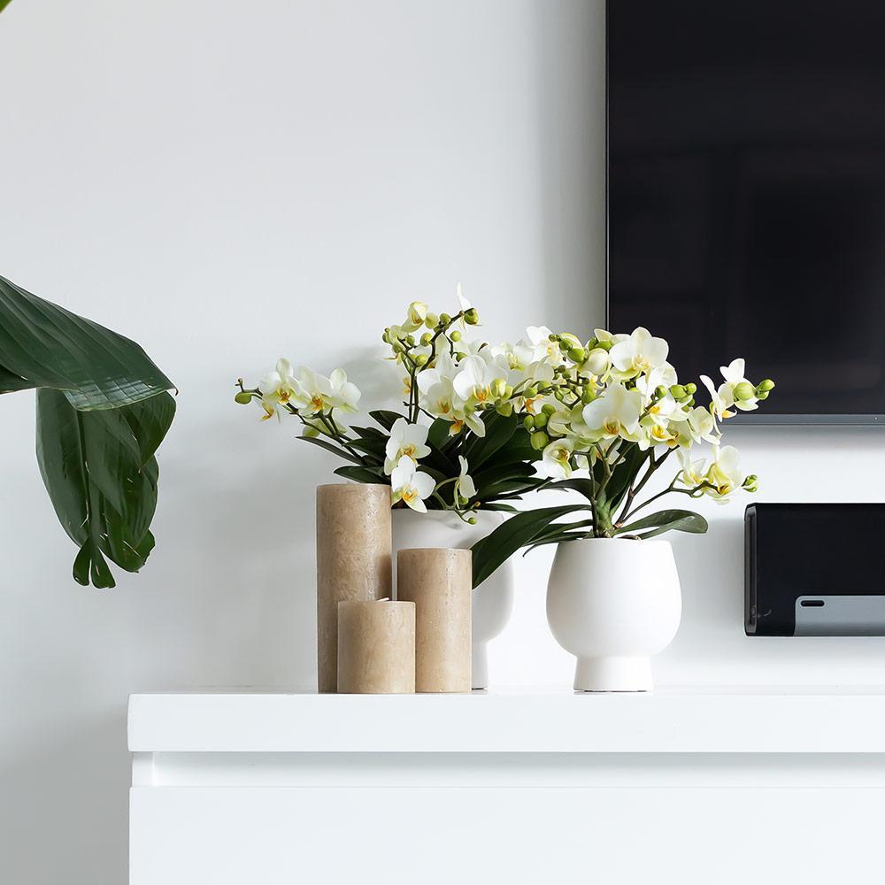 Kolibri Home | Scandic white bloempot - Witte keramieken sierpot - Ø6cm