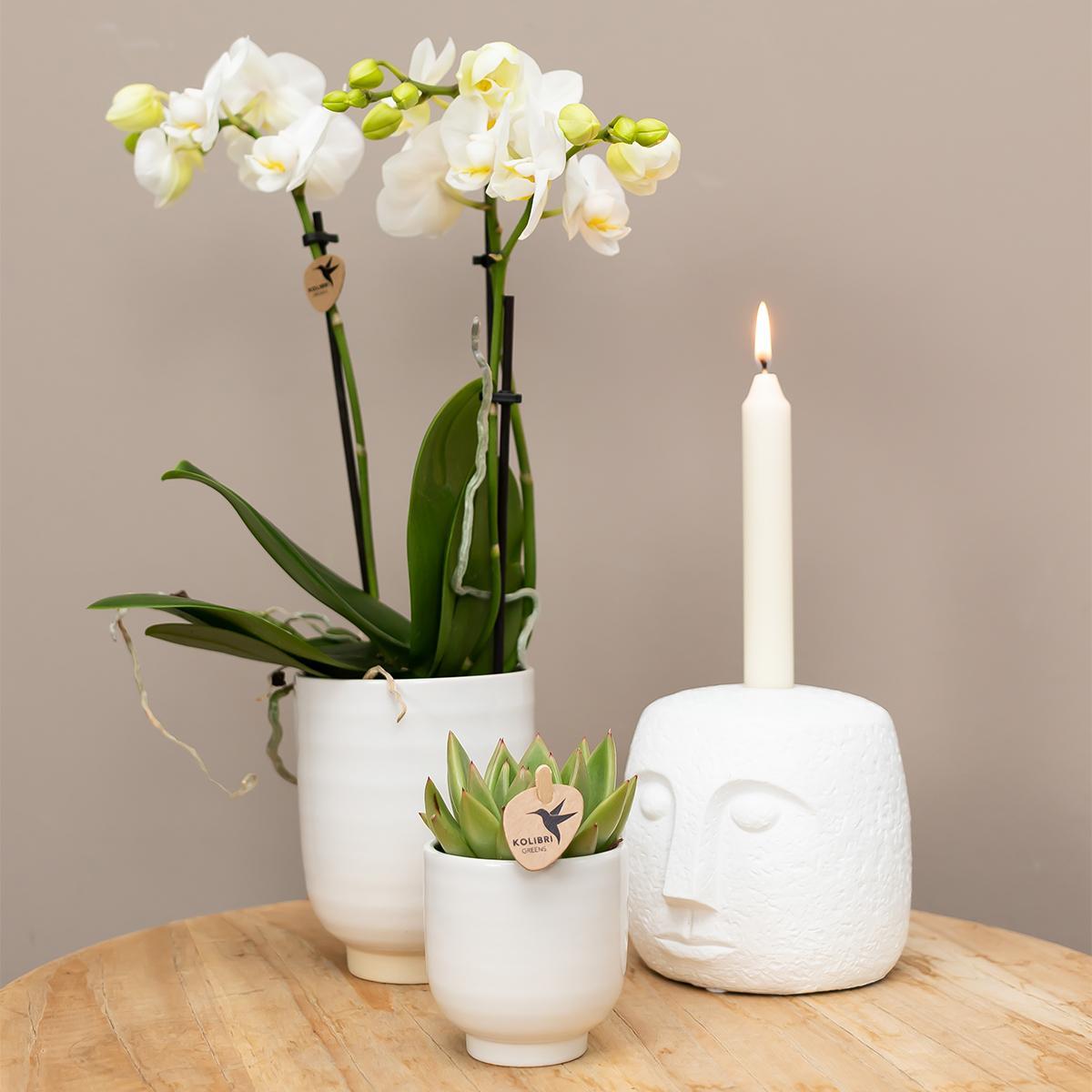 Kolibri Home | Glazed bloempot - Witte keramieken sierpot met glans - Ø6cm