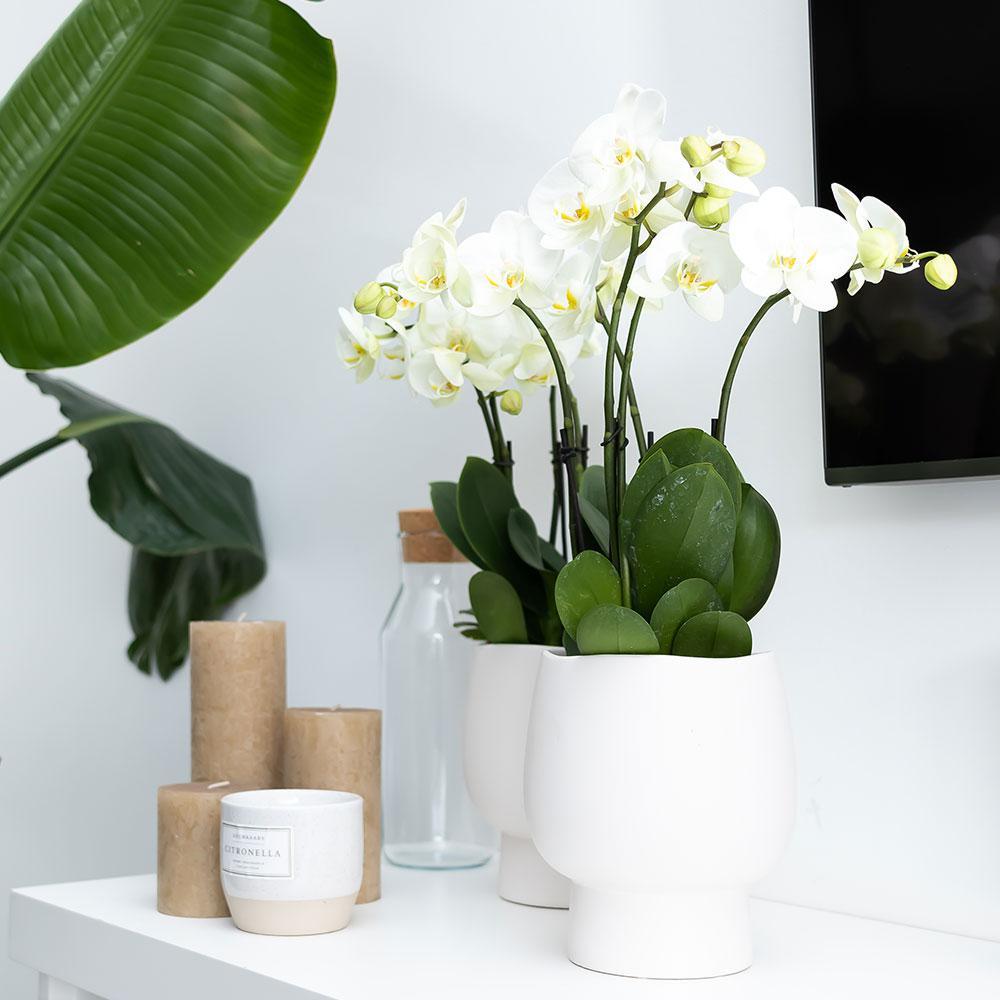 Kolibri Home | Scandic white bloempot - Witte keramieken sierpot - Ø12cm