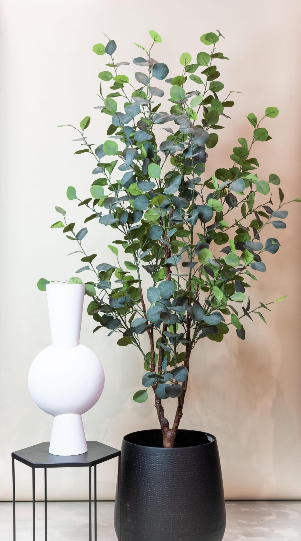 Kunstplant - Eucalyptus - Blauwe Gomboom- 180 cm