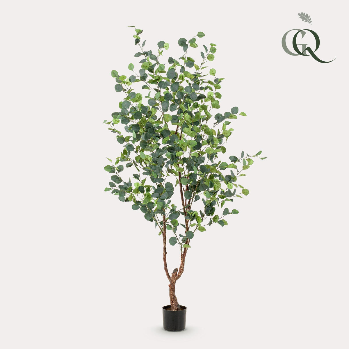 Kunstplant - Eucalyptus - Blauwe Gomboom- 180 cm