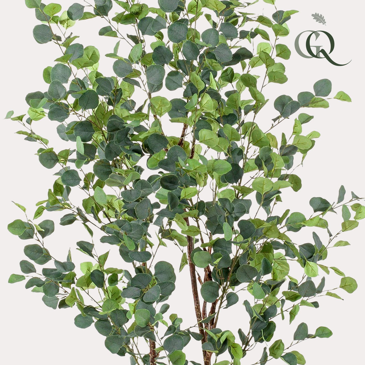 Kunstplant - Eucalyptus - Blauwe Gomboom- 180 cm