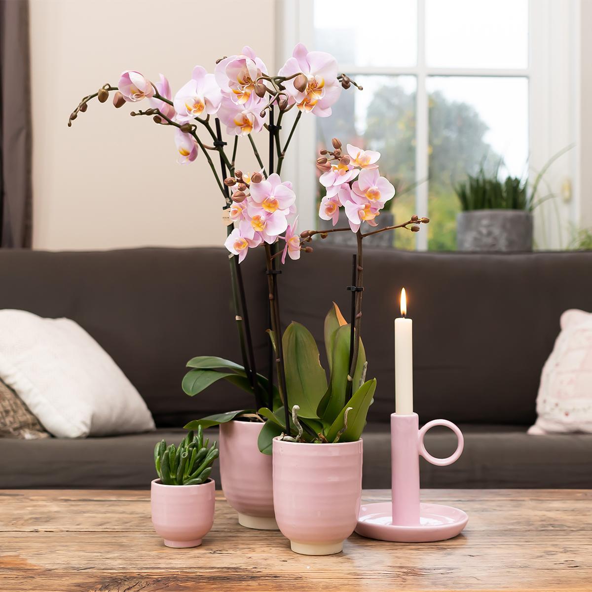 Kolibri Home | Glazed bloempot - Roze keramieken sierpot met glans - Ø12cm