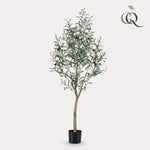 Kunst Olijfboom -Olea europaea - Olijfboom - 140 cm