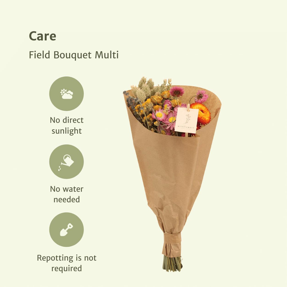 Droogbloemen Field Bouquet Multi - Ø15 - ↨35cm