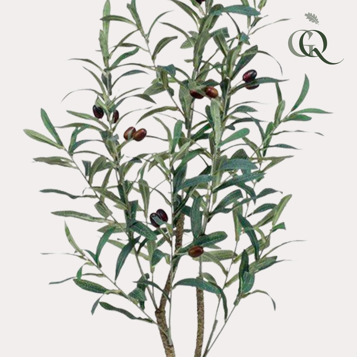 Kunst Olijfboom -Olea europaea - Olijfboom - 90 cm