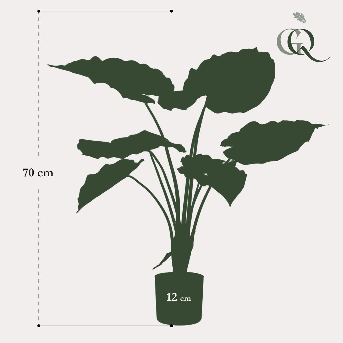 Kunstplant - Alocasia -Olifantsoor - 70 cm hoog