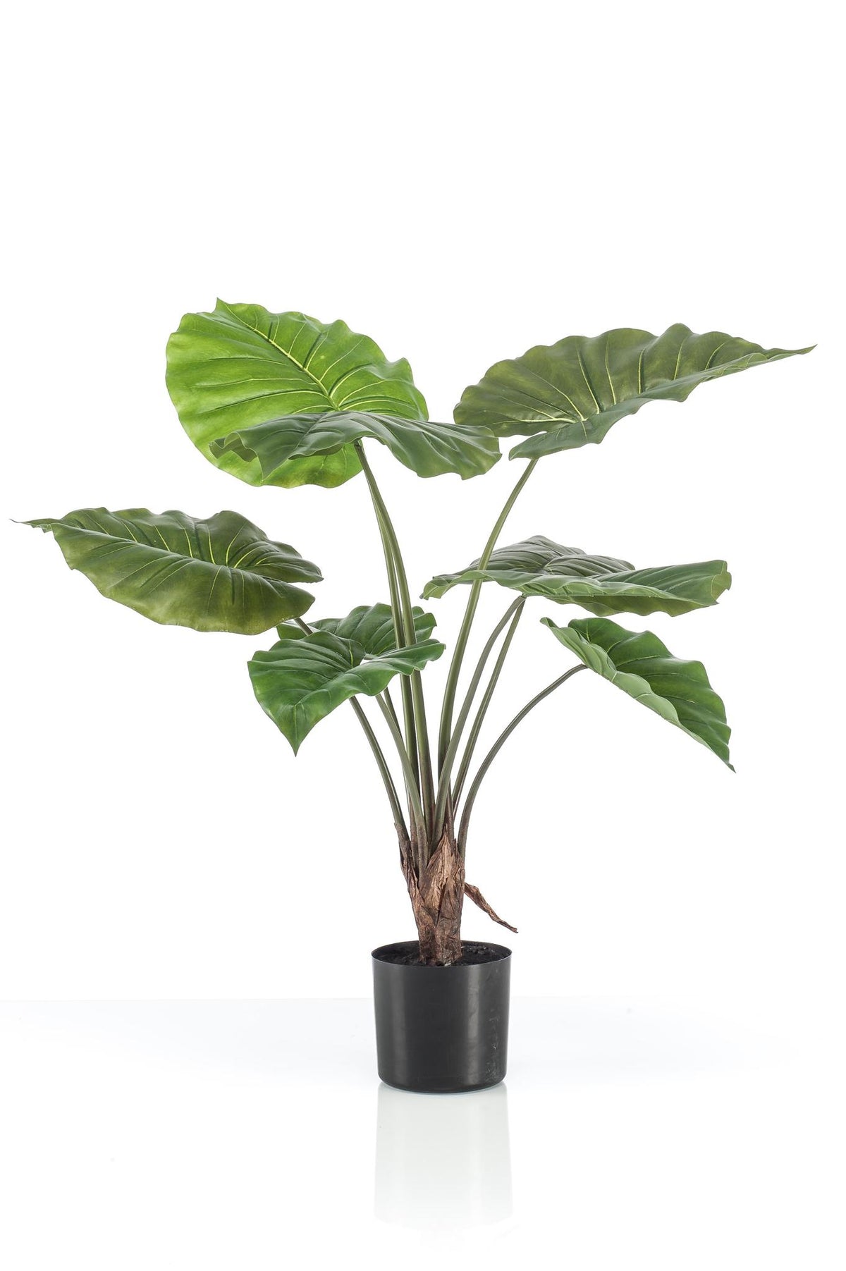 Kunstplant - Alocasia -Olifantsoor - 70 cm hoog
