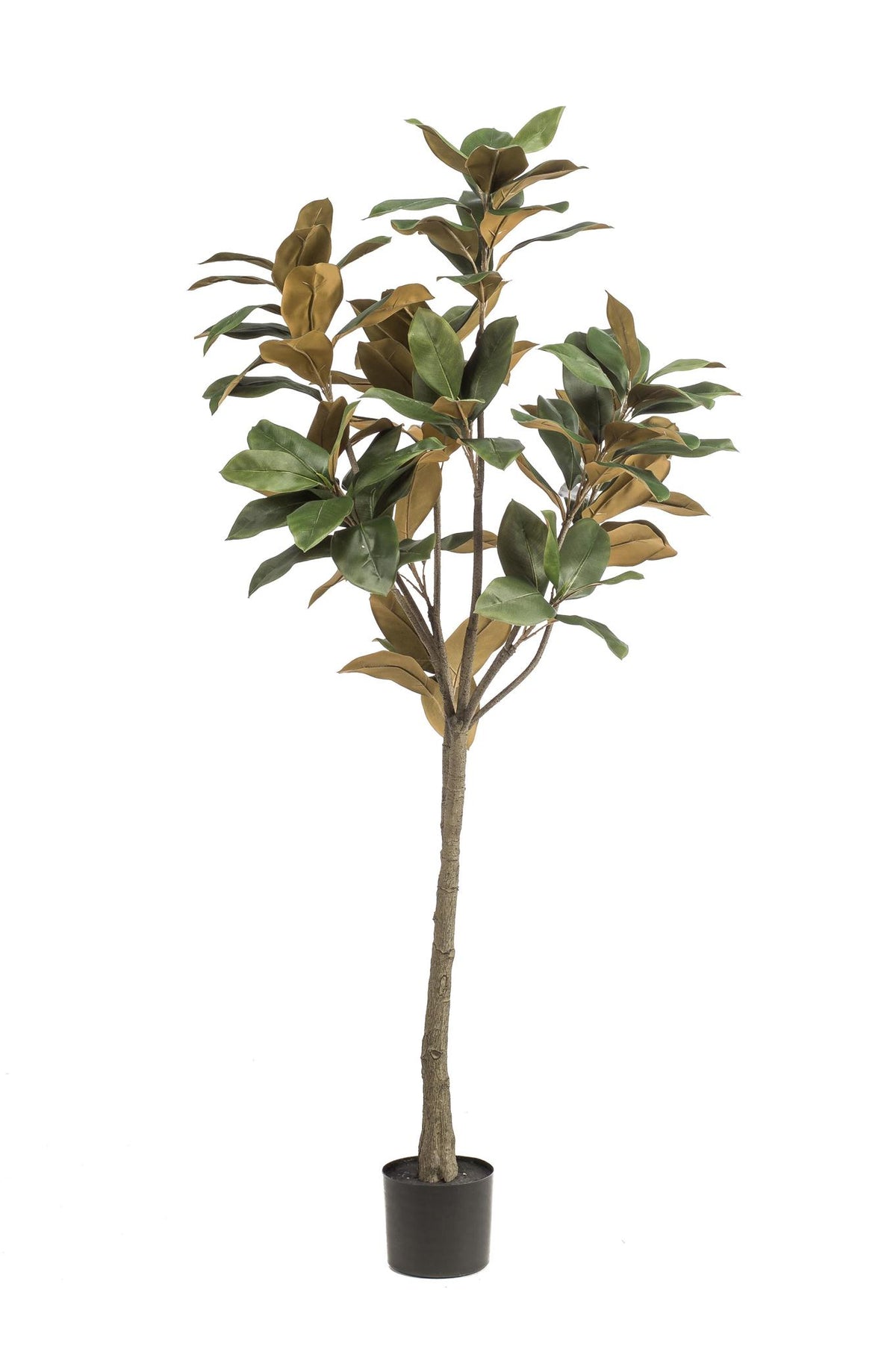 Kunstplant - 150 cm - Magnolia Grandiflora