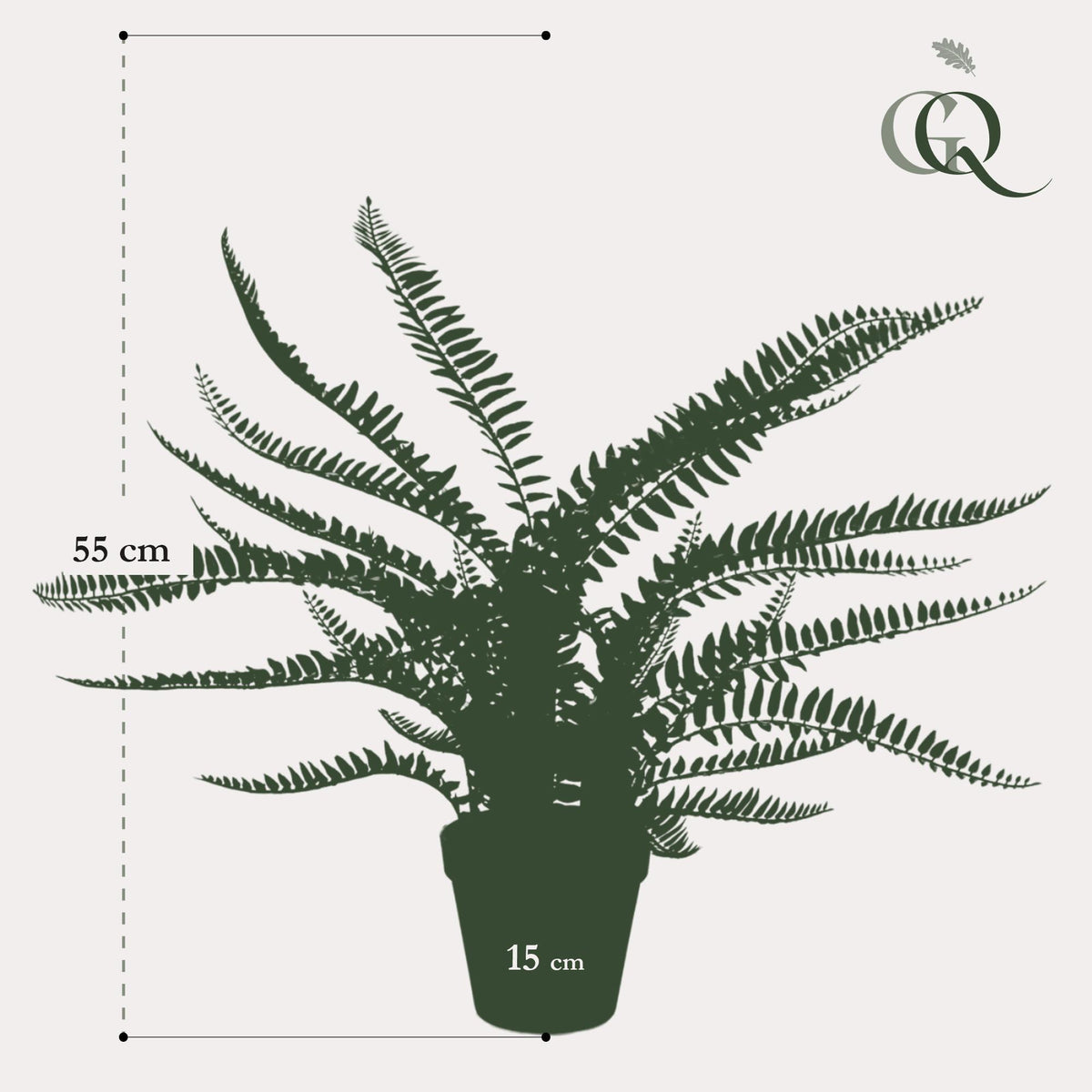Kunstplant - Nephrolepis Exaltata - Bostonvaren - 55 cm