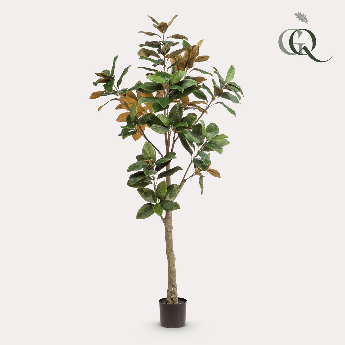 Kunstplant - 180 cm - Magnolia Grandiflora